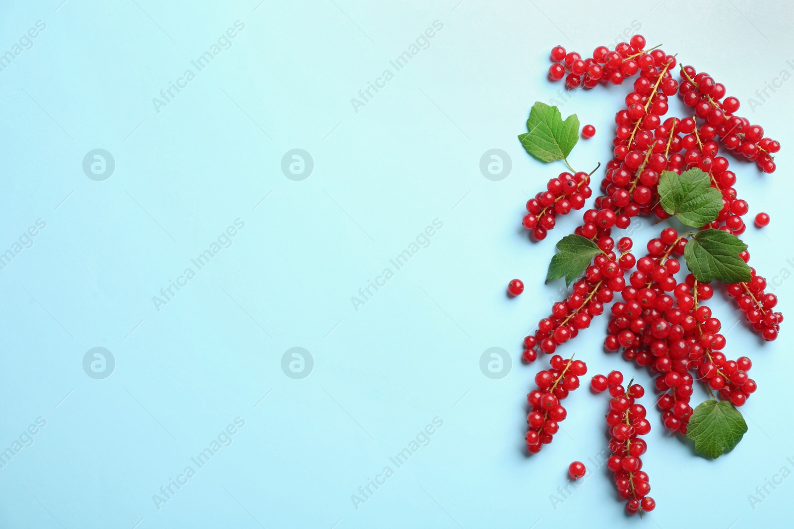 Photo of Delicious red currants and leaves on light blue background, flat lay. Space for text