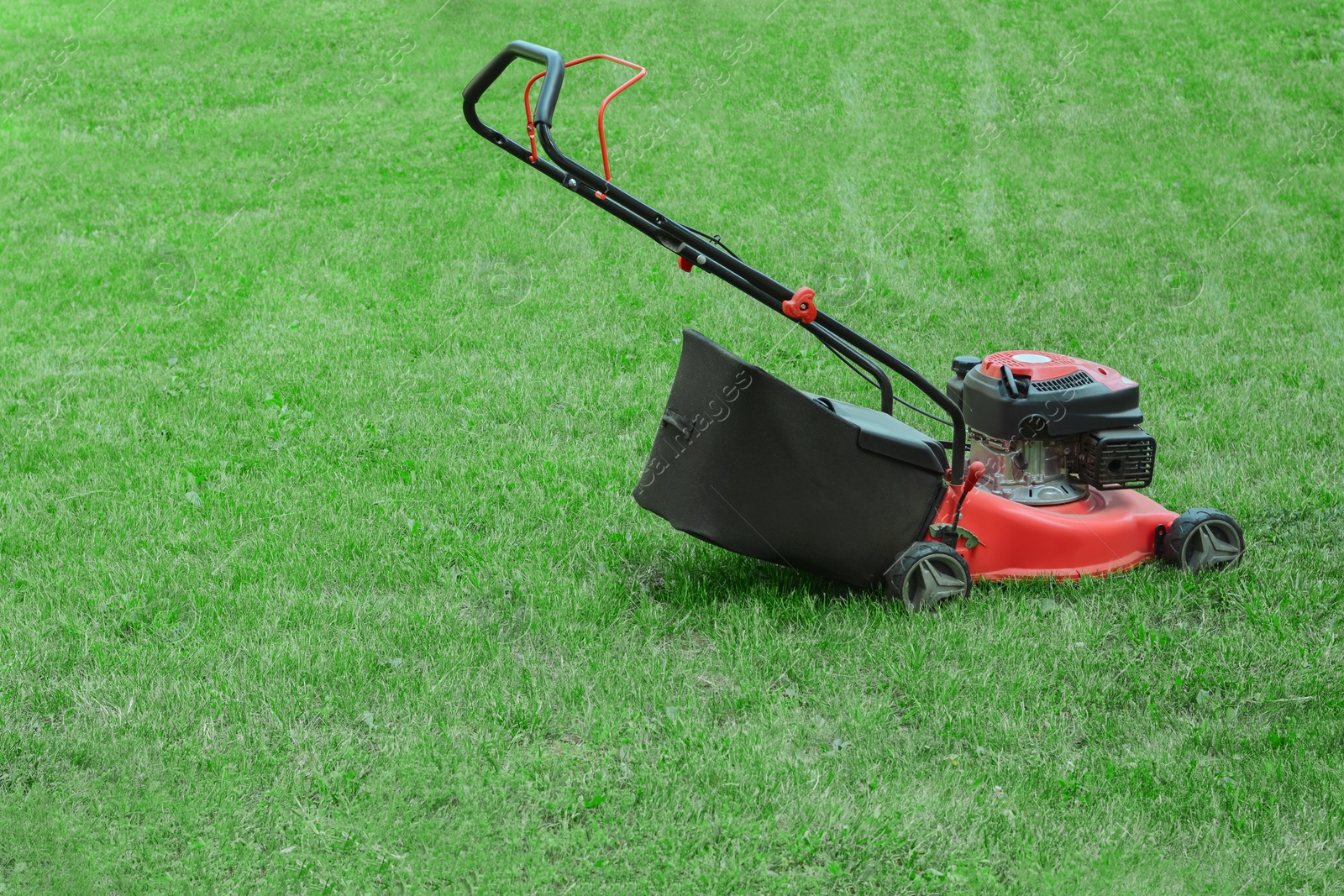 Photo of Modern garden lawn mower on green grass outdoors