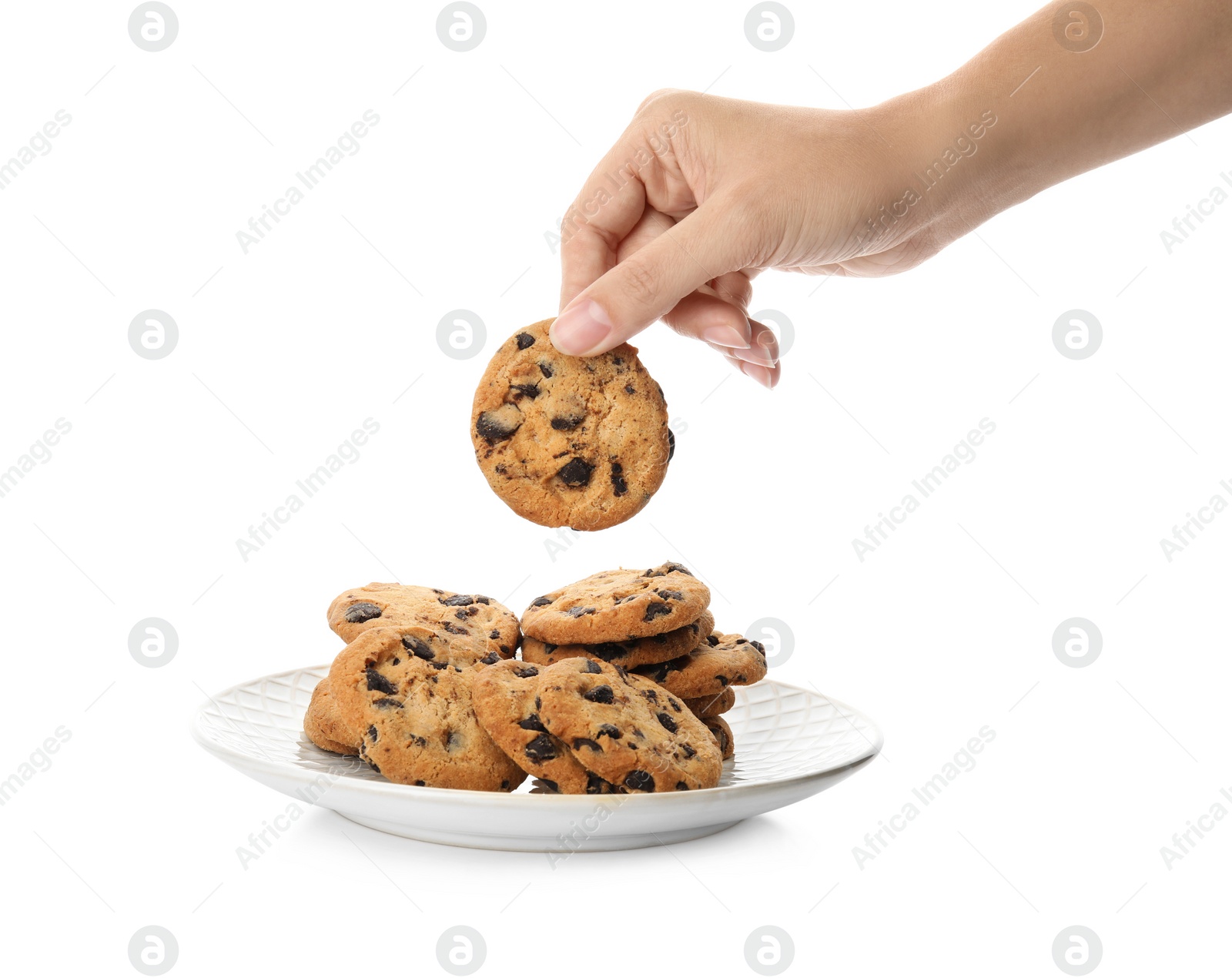 Photo of Woman holding tasty chocolate chip cookie over plate on white background, closeup