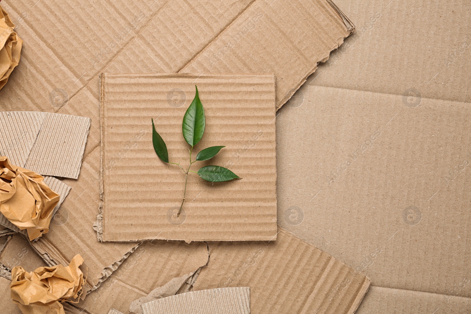 Photo of Green leaves and crumpled paper on carton, top view with space for text