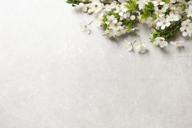 Photo of Cherry tree branches with beautiful blossoms on light stone table, flat lay. Space for text