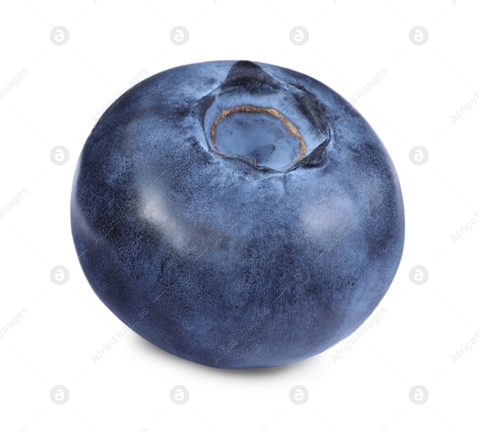 Photo of One ripe tasty blueberry isolated on white