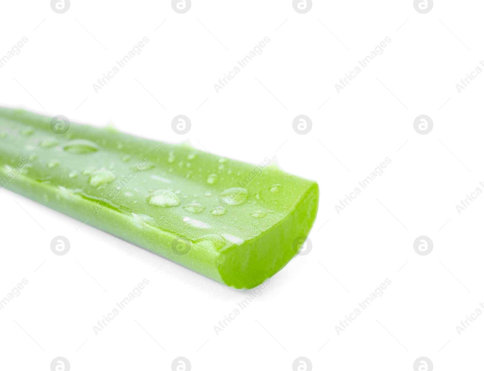 Photo of Aloe vera leaf on white background