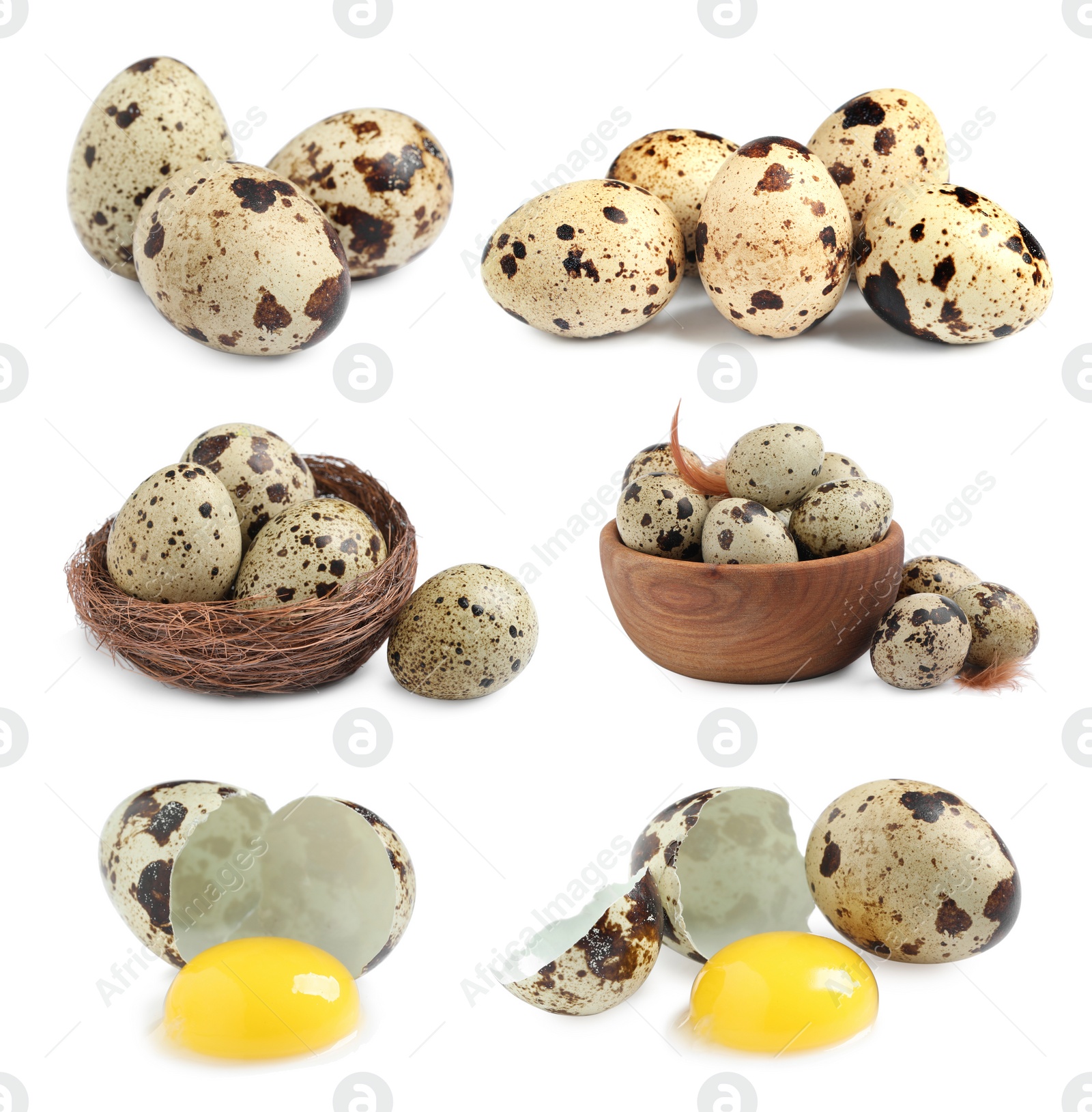 Image of Set with quail eggs on white background