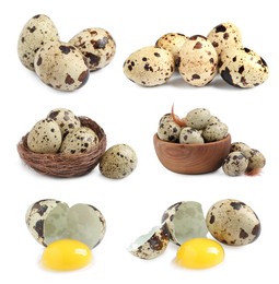 Image of Set with quail eggs on white background