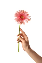 Woman holding flower on white background, closeup