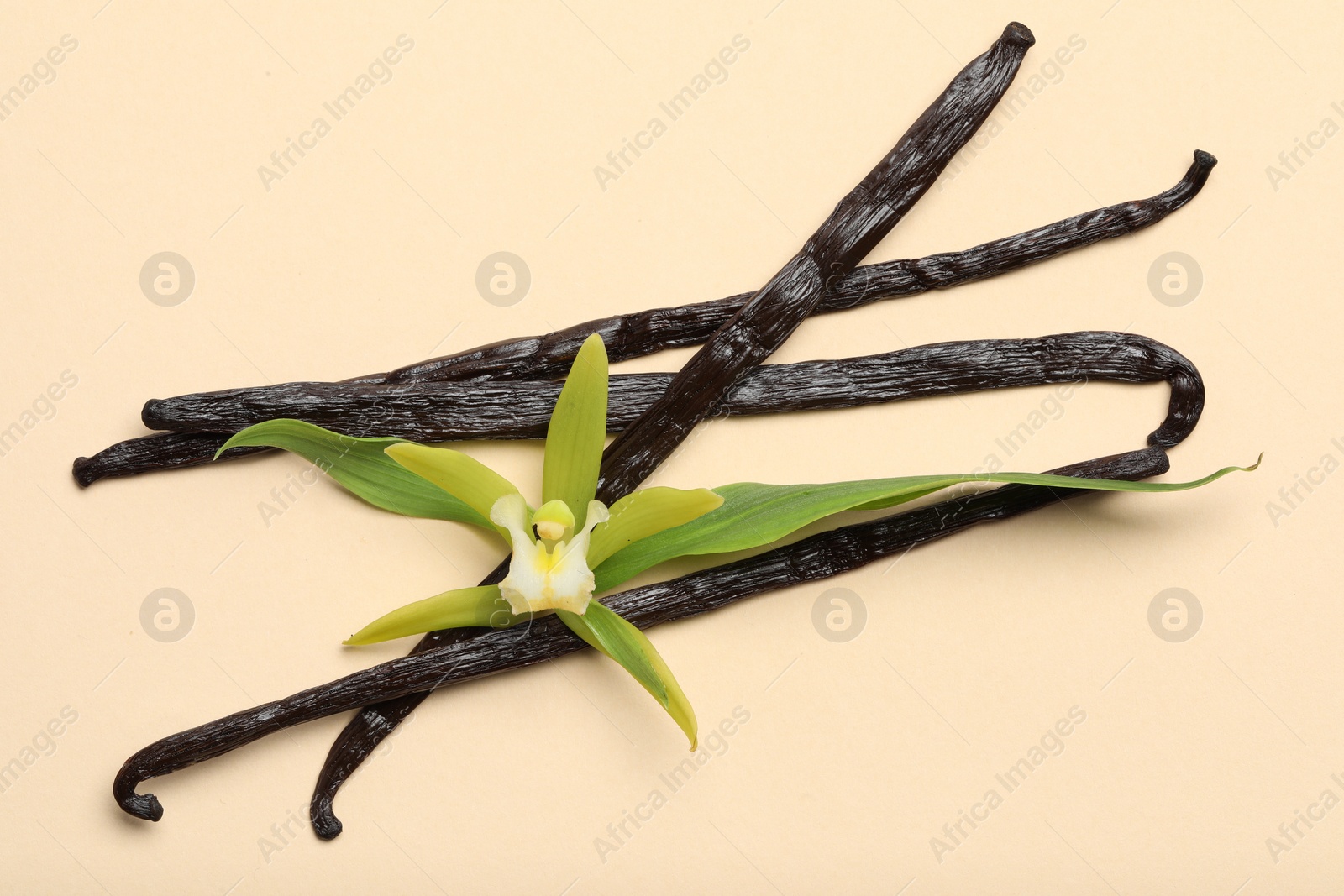 Photo of Vanilla pods, beautiful flower and green leaves on beige background, top view