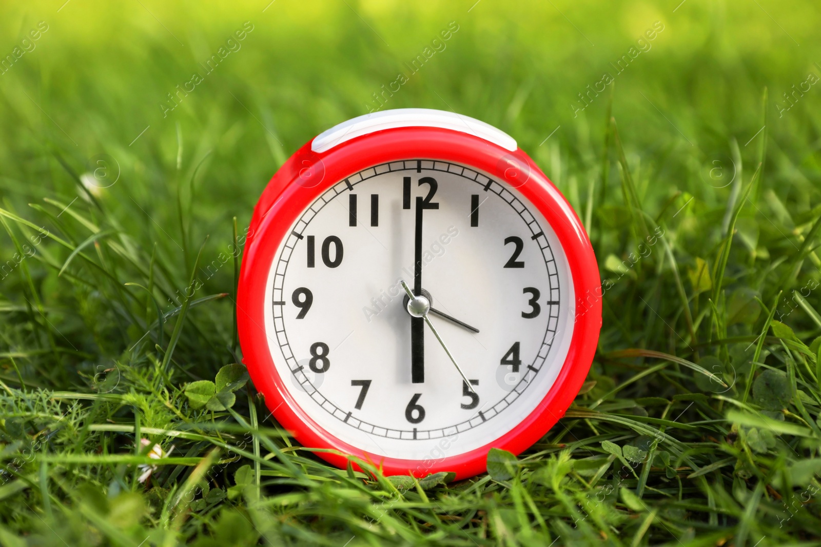 Photo of Red alarm clock on green grass outdoors