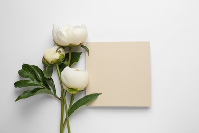 Fragrant peonies and blank card on white background, top view with space for text. Beautiful spring flowers