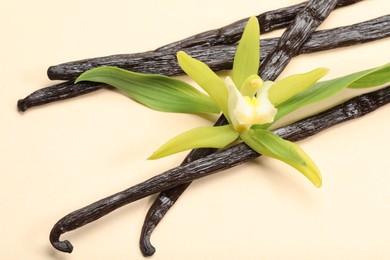 Photo of Vanilla pods, beautiful flower and green leaves on beige background