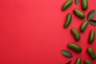 Whole seedless avocados with green leaves on red background, flat lay. Space for text
