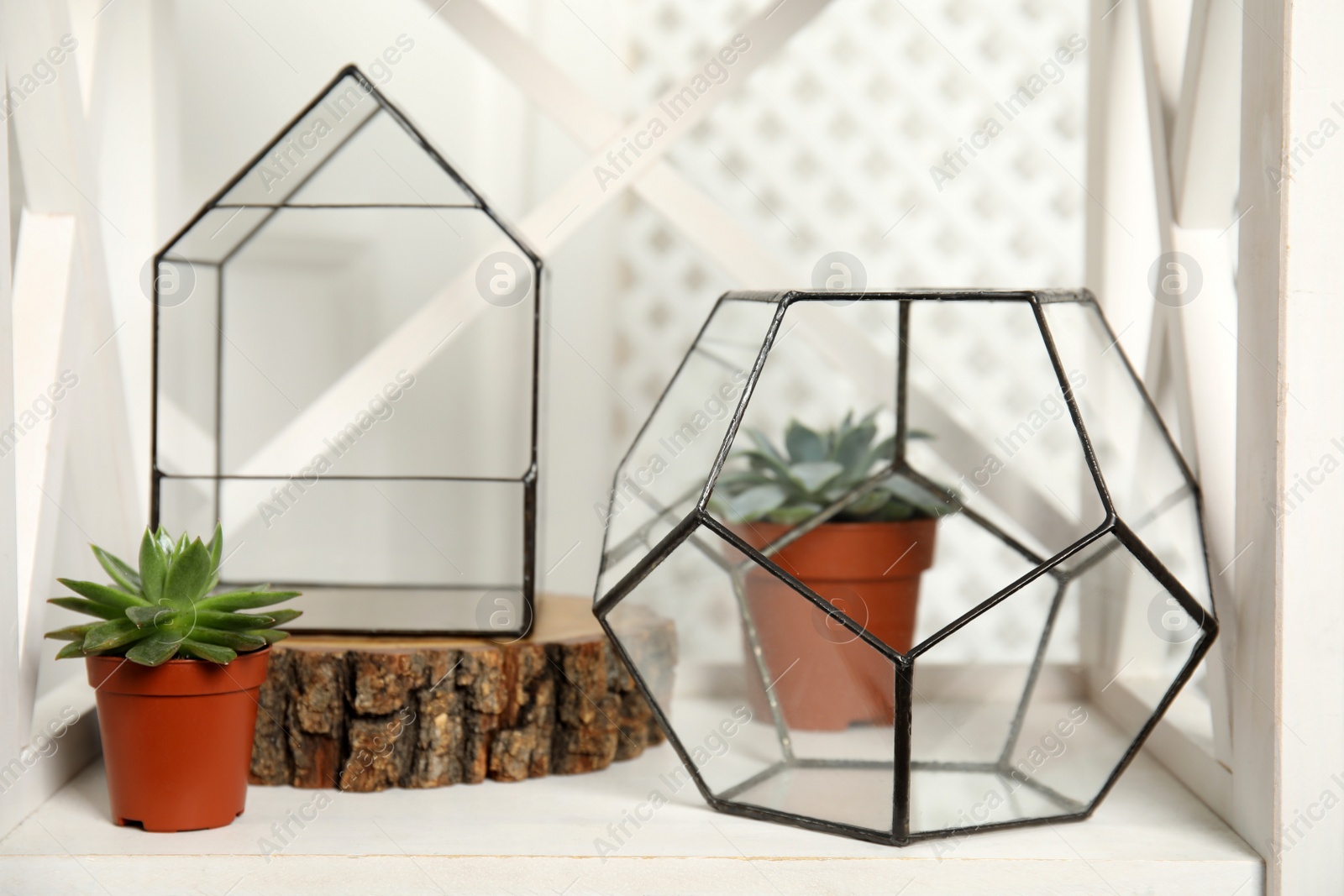 Photo of Empty glass florarium vases on white table indoors