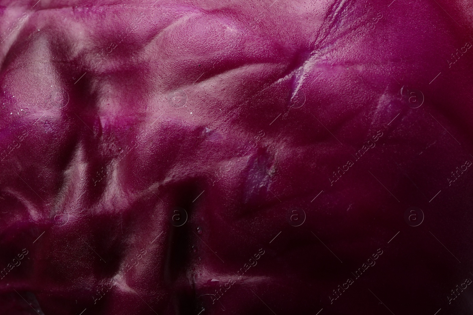 Photo of Fresh ripe red cabbage as background, closeup