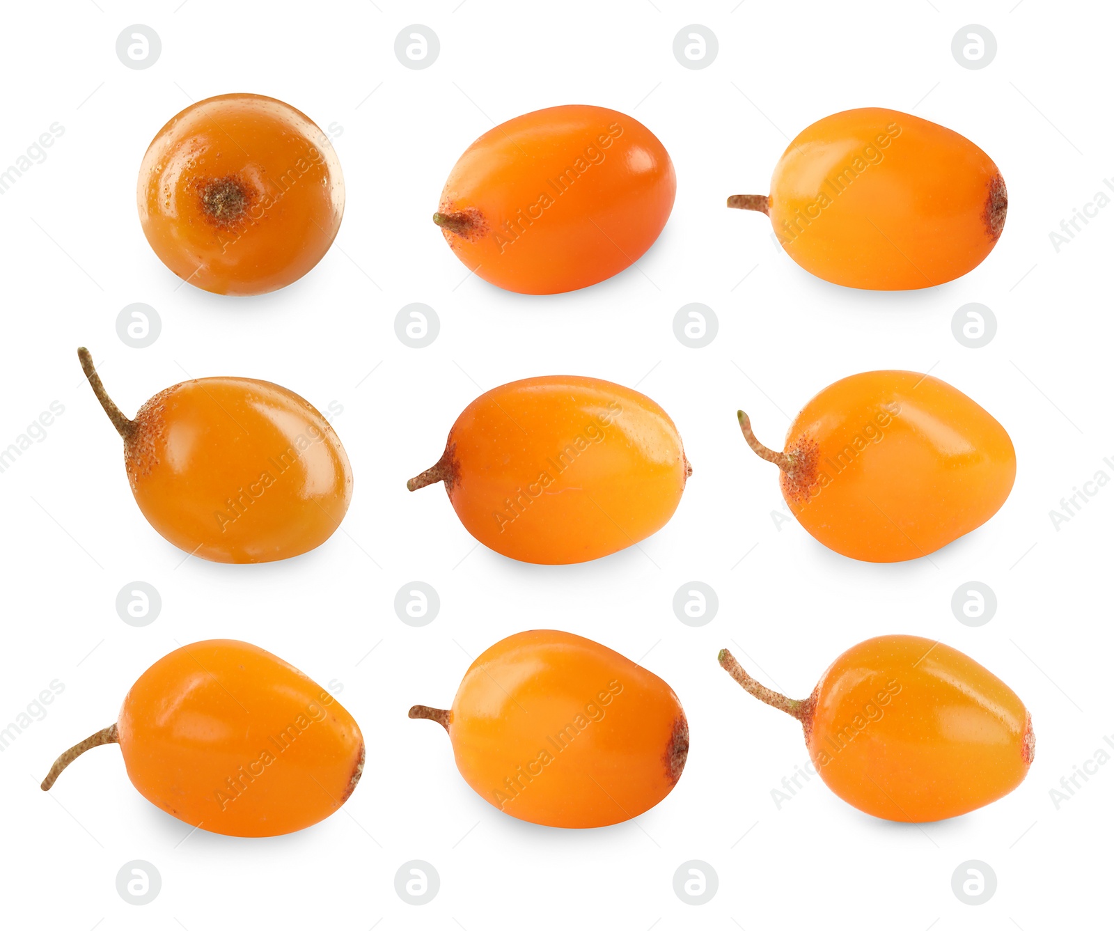 Image of Set with fresh ripe sea buckthorn berries on white background 