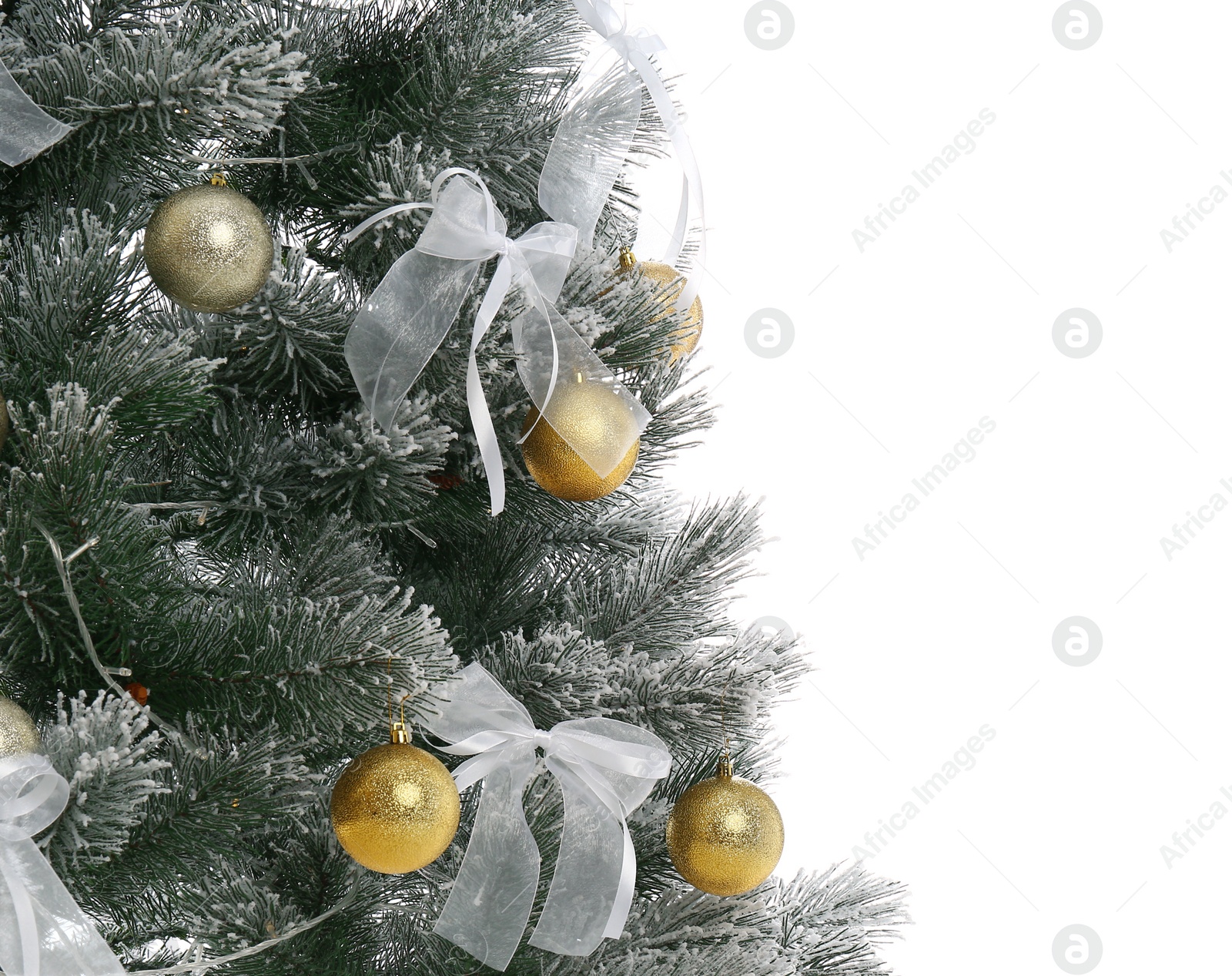 Image of Beautifully decorated Christmas tree on white background, closeup