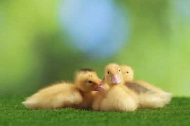 Photo of Cute fluffy ducklings on artificial grass against blurred background, closeup. Baby animals