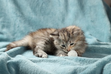 Cute kitten playing with ball on light blue blanket