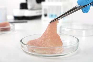 Photo of Scientist taking raw cultured meat out of Petri dish with tweezers at white table in laboratory, closeup