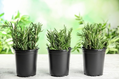 Photo of Potted rosemary on white table against blurred green background