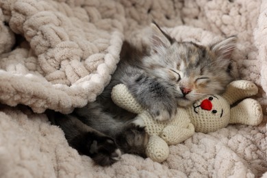 Cute fluffy kitten with toy sleeping on soft plaid