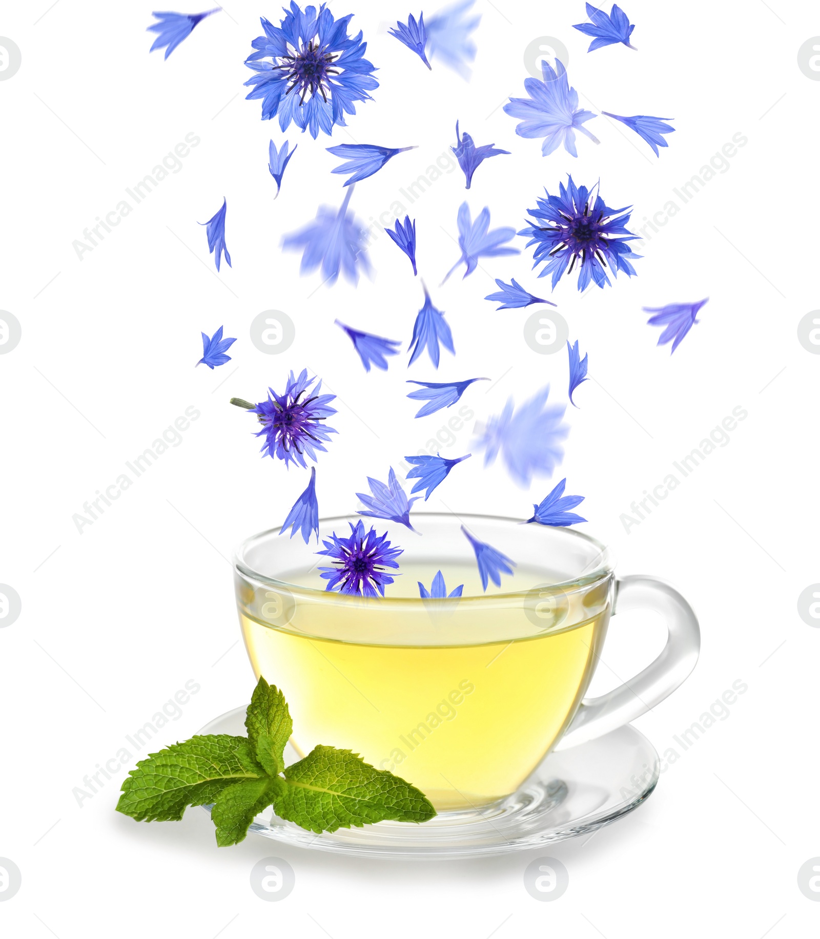 Image of Beautiful tender blue cornflower petals falling into cup of tea on white background