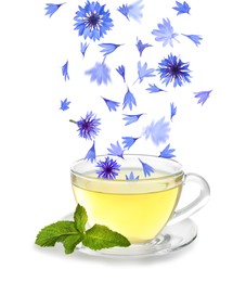 Beautiful tender blue cornflower petals falling into cup of tea on white background