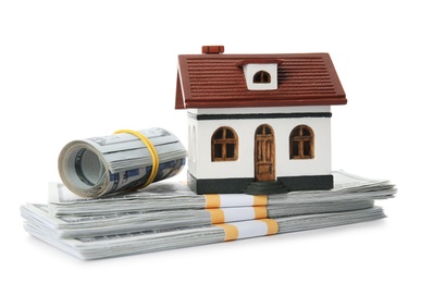 House model with money on white background