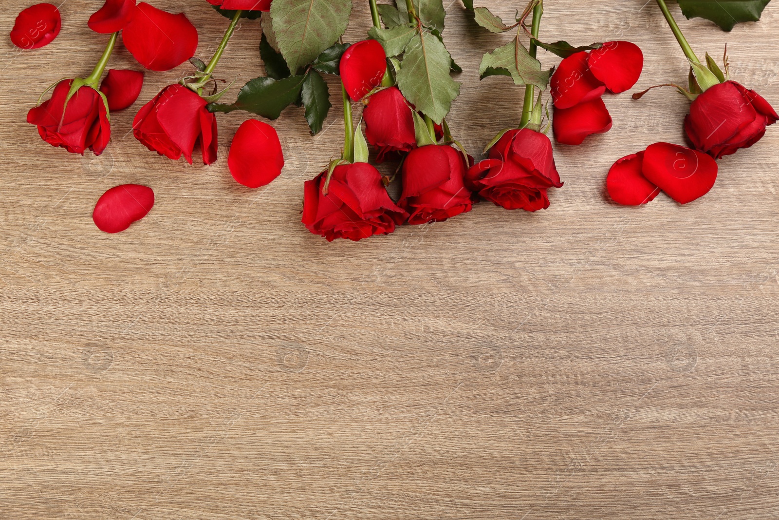 Photo of Beautiful red roses and space for text on wooden background, flat lay. Valentine's Day celebration