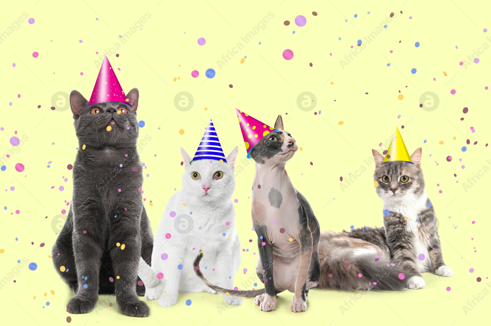 Image of Adorable cats with party hats on yellow background