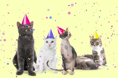 Image of Adorable cats with party hats on yellow background