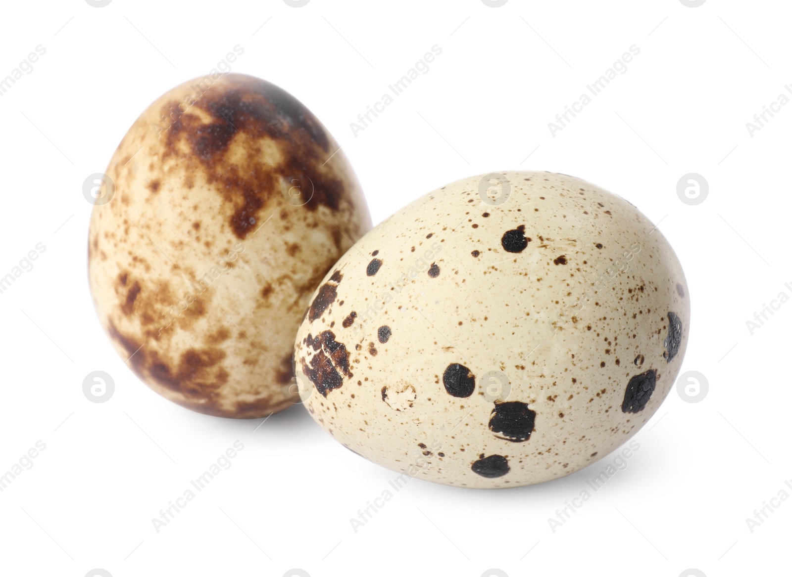 Photo of Beautiful speckled quail eggs on white background