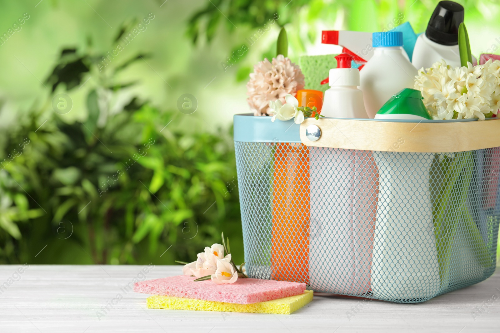 Photo of Plastic basket with spring flowers and cleaning supplies on white wooden table. Space for text