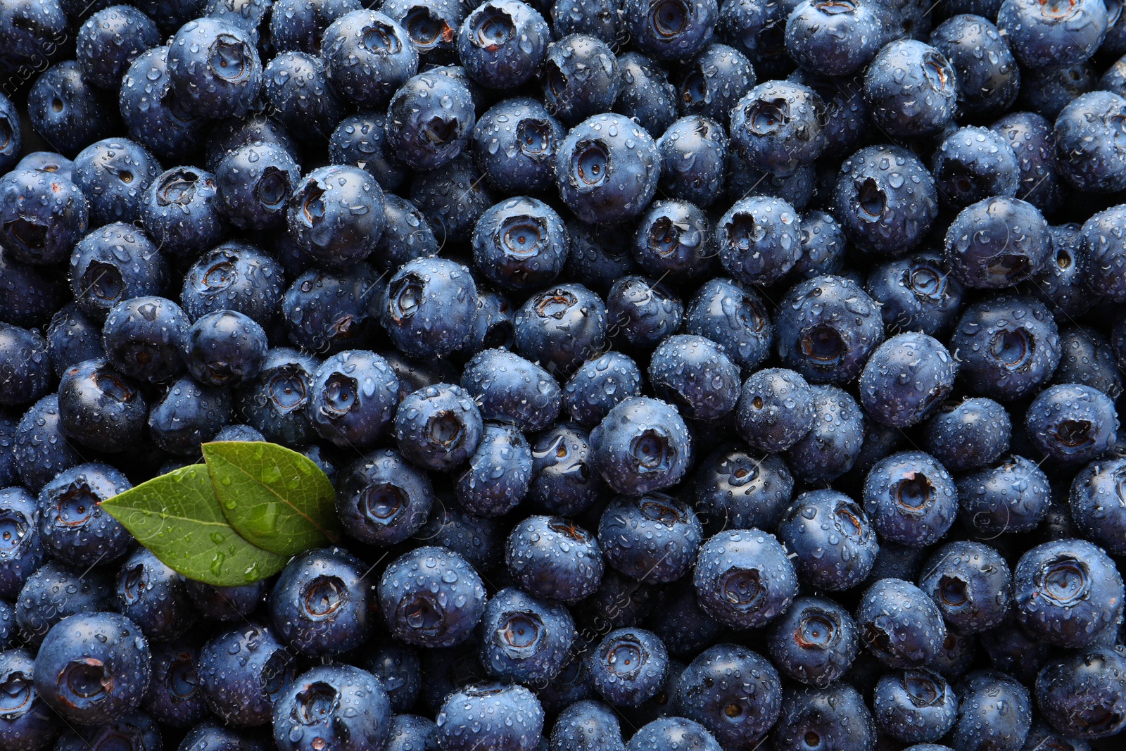 Photo of Wet fresh blueberries with green leaves as background, top view