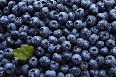 Wet fresh blueberries with green leaves as background, top view