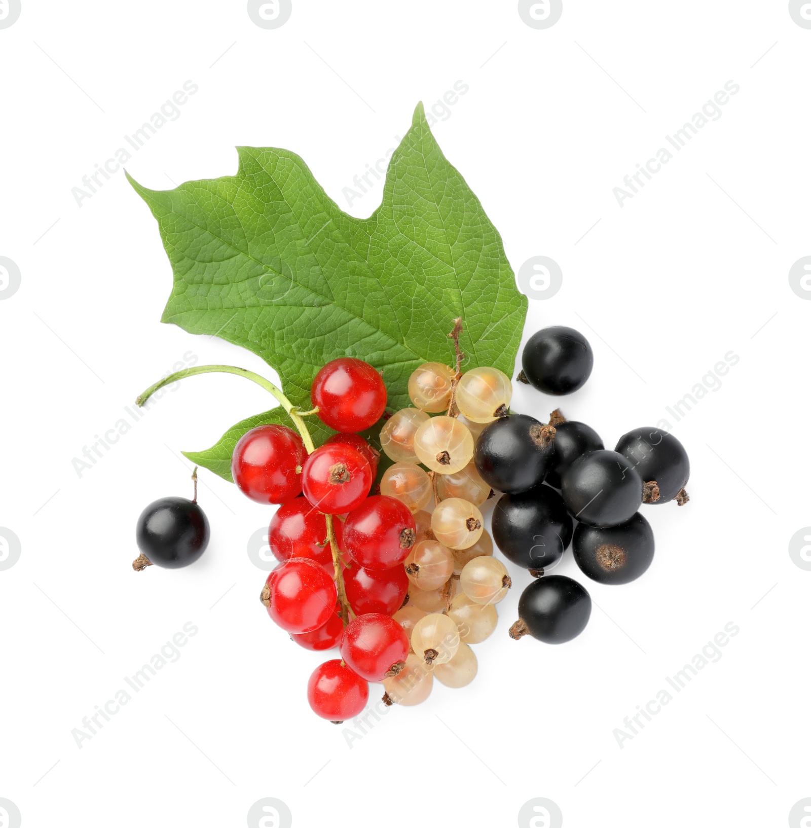 Photo of Fresh red, white and black currants with green leaf isolated on white, top view