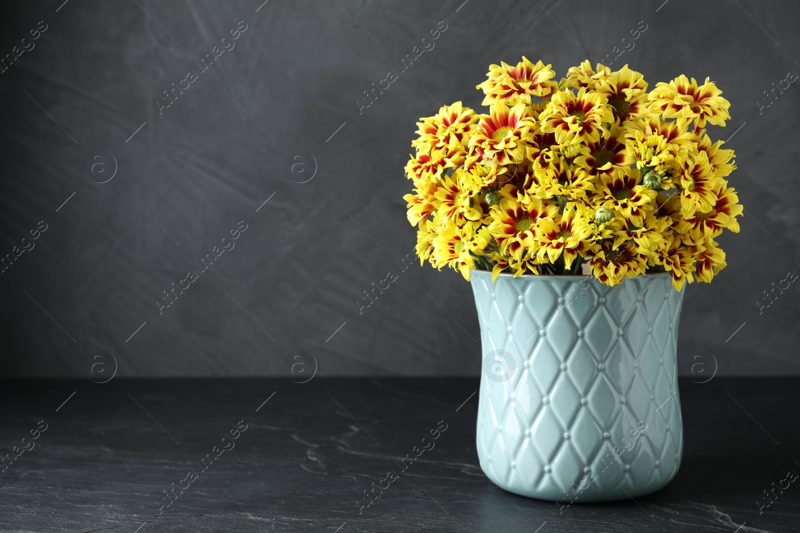Photo of Vase with beautiful chrysanthemum flowers on black table. Space for text