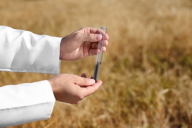 Photo of Agronomist holding test tube with soil sample in field, closeup. Cereal farming