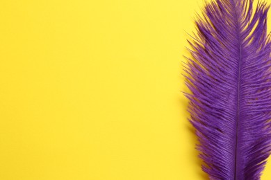 Photo of Beautiful violet feather on yellow background, top view. Space for text