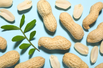 Photo of Fresh peanuts and twig on light blue background, flat lay