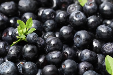 Photo of Fresh bilberries and green leaves as background, closeup