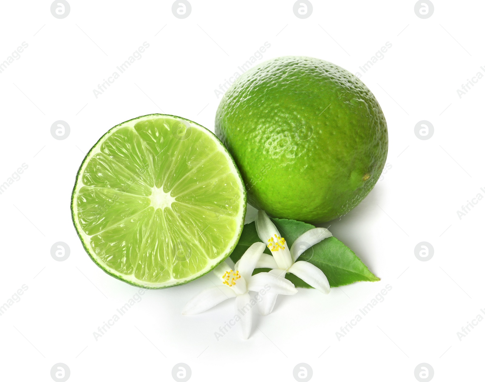 Photo of Ripe limes and flowers on white background. Citrus fruit