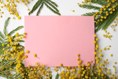 Beautiful mimosa flowers and paper note on white background, flat lay. Space for text