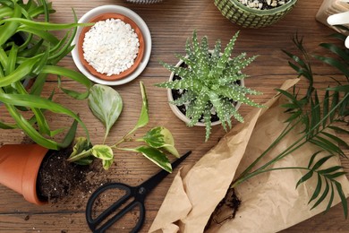 Photo of Houseplants and gardening tools on wooden table, flat lay
