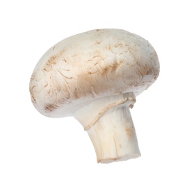 Fresh champignon mushroom isolated on white. Healthy food