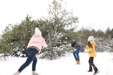 Happy family having snowball fight outdoors on winter day. Christmas vacation
