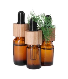 Photo of Bottles of essential oil and fresh dill isolated on white