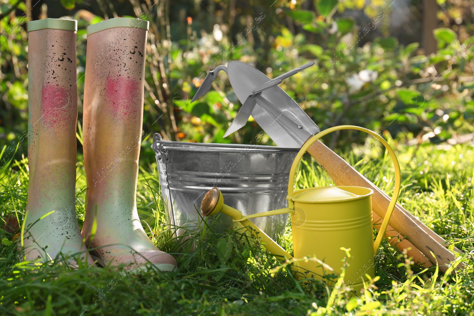 Photo of Watering can, gardening tools and rubber boots on green grass outdoors