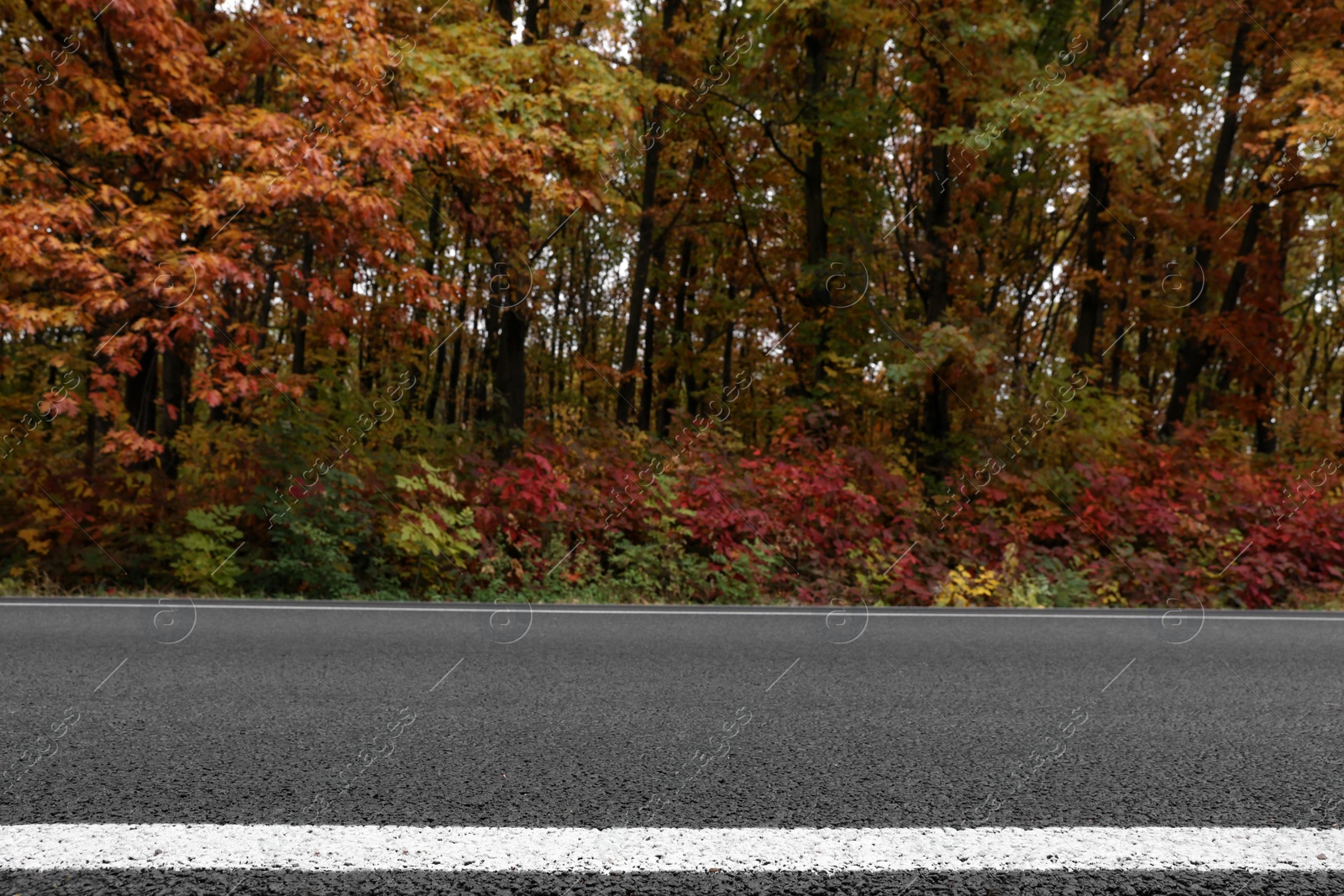 Photo of Beautiful view of asphalt highway without transport near autumn forest