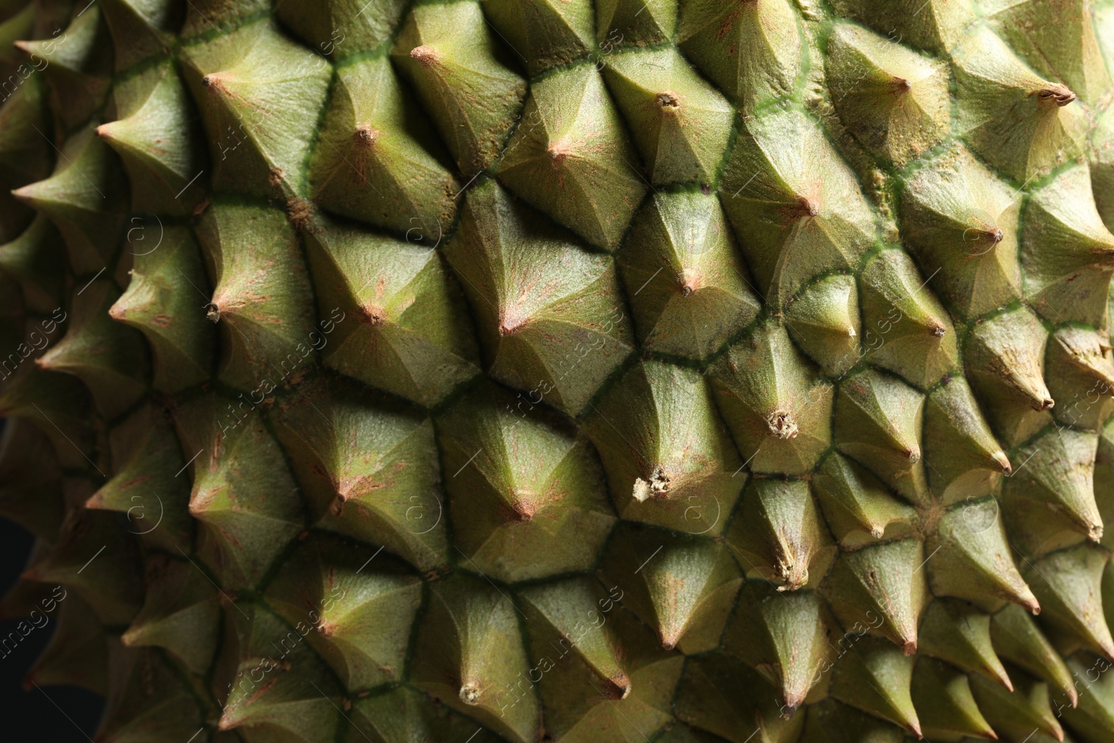 Photo of Closeup view of ripe durian as background