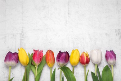 Beautiful colorful tulip flowers on white stone background, flat lay. Space for text